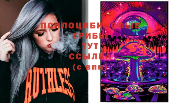 СК Корсаков