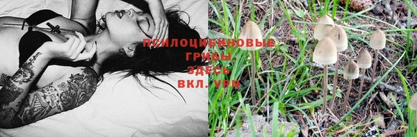 СК Корсаков