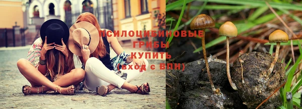 прущий лед Костерёво